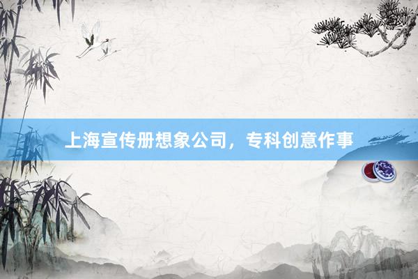上海宣传册想象公司，专科创意作事