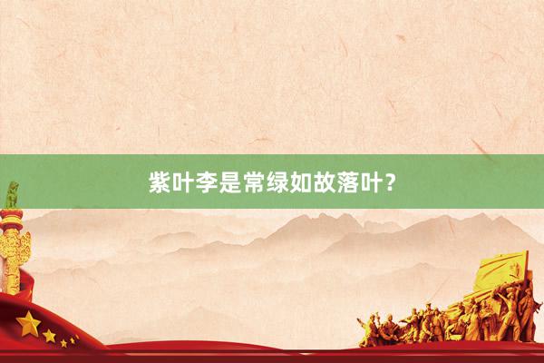 紫叶李是常绿如故落叶？