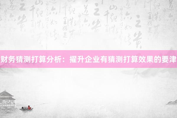 财务猜测打算分析:擢升企业有猜测打算效果的要津